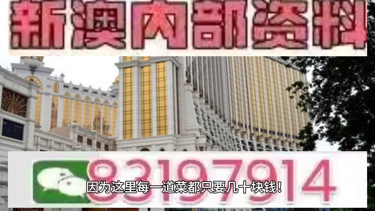 2025新澳门天天免费精准，详细解答、解释与落实